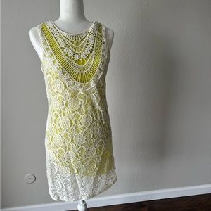 Lace Crochet Fitted Dress